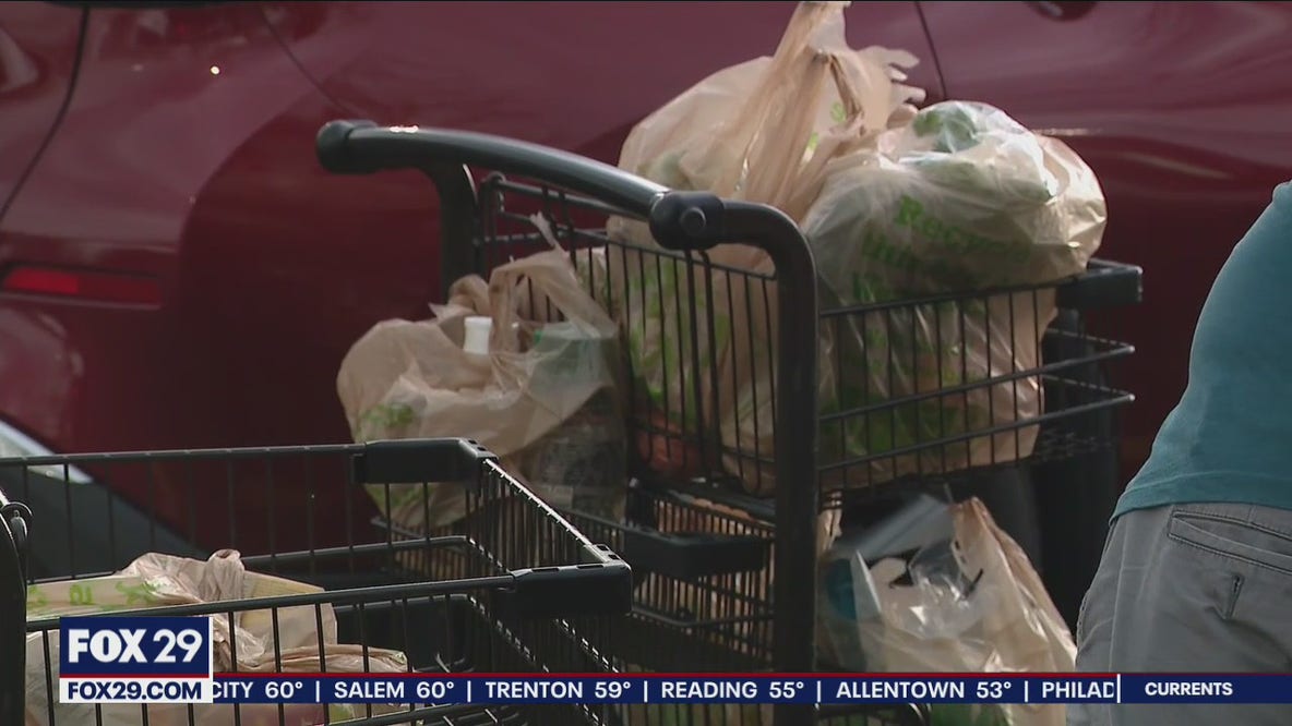 Wegmans to eliminate plastic bags at all stores by the end of 2022