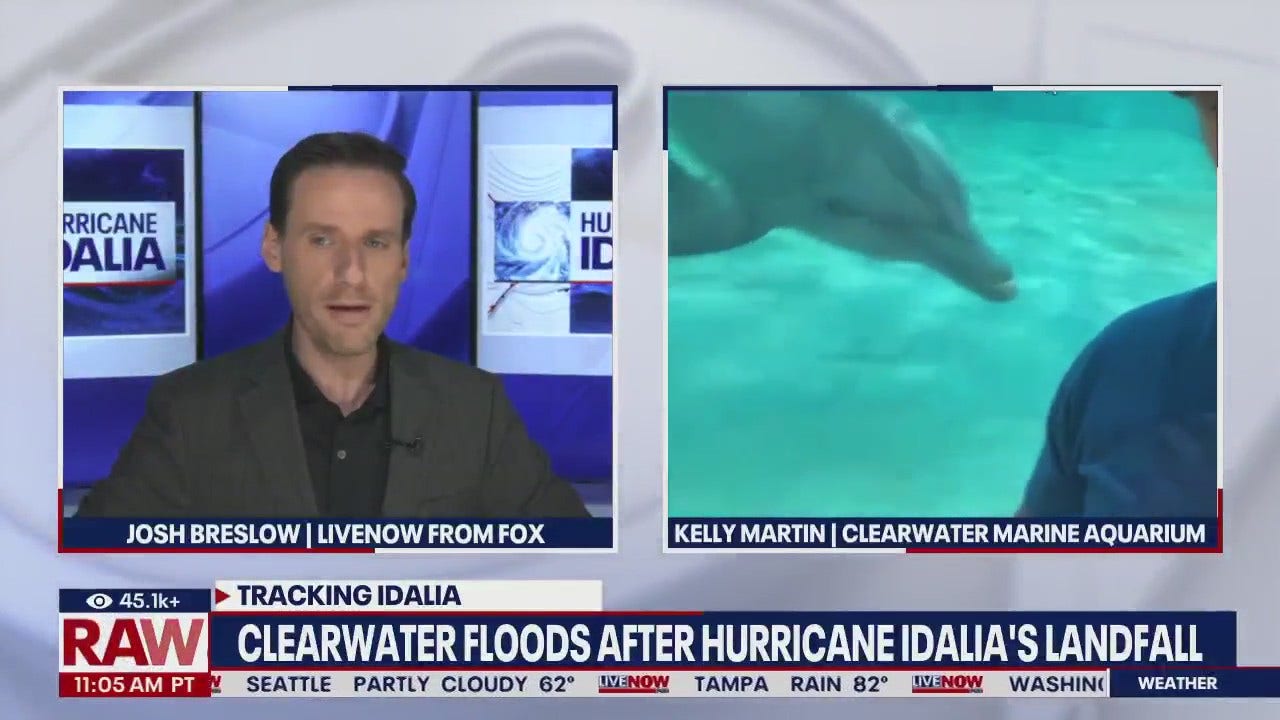 Hurricane Idalia Clearwater Aquarium On Storm LiveNOW From FOX hurricane-idalia-clearwater-aquarium-on-storm-livenow-from-fox
