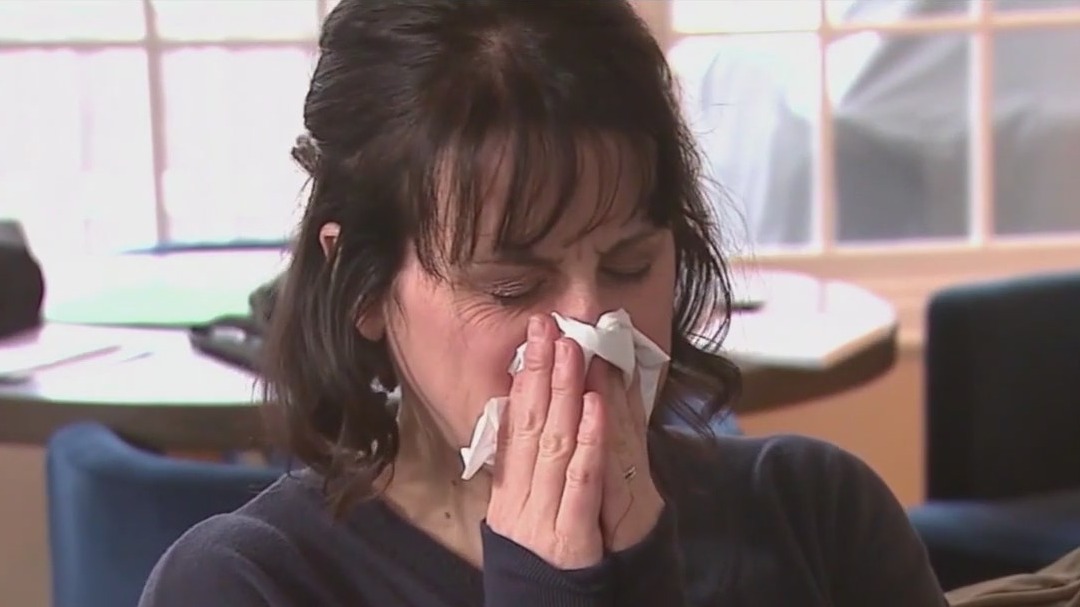 2024 allergy forecast
