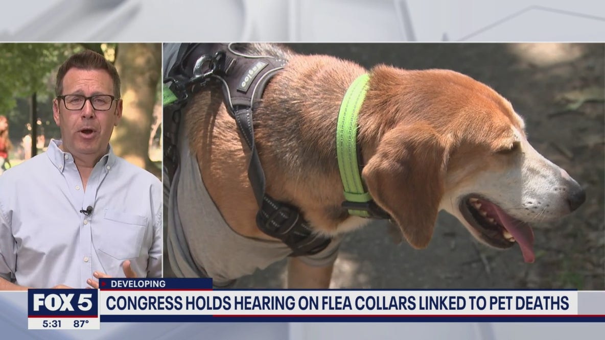 Congressional hearing held on flea collars linked to pet deaths