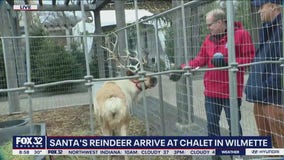 Vixen and Prancer pay a visit to Chalet Nursery