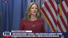 Michigan early primary voting update