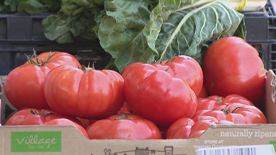 Community Garden offer savings on fresh produce amid inflation on fruits, vegetables