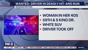 Driver sought in deadly hit-and-run in Washington Park