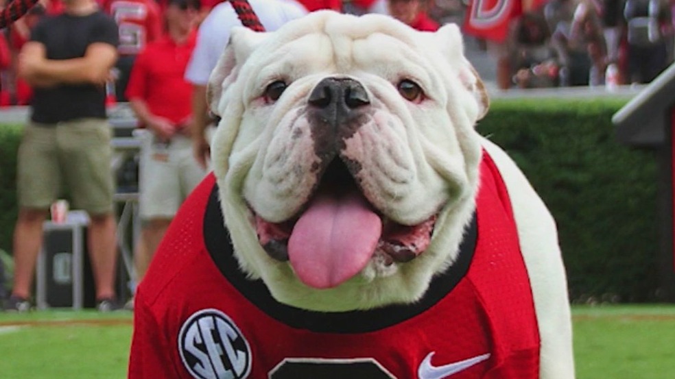 UGA mascot X has passed away