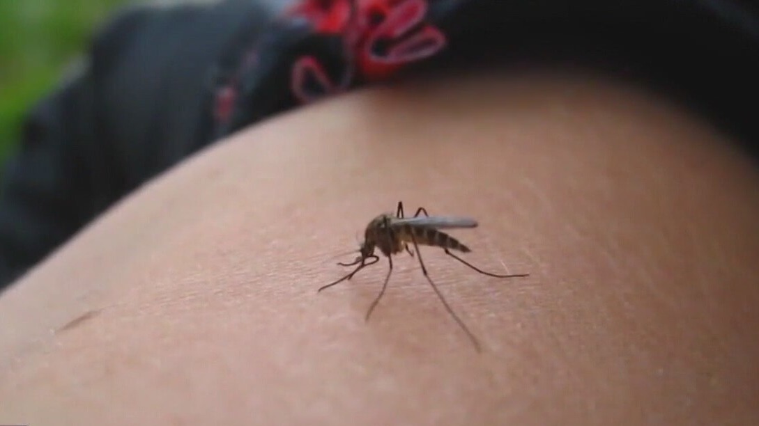 First West Nile death in Travis Co. this year