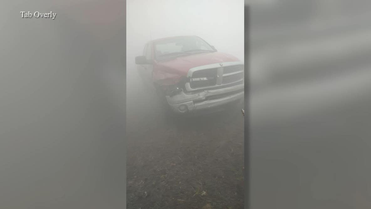 Prescribed burn in Ocala National Forest leads to super fog conditions