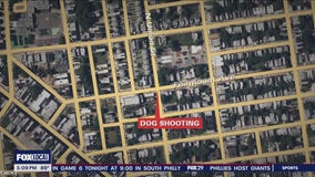 Dog shot, killed by Philadelphia officer after man mauled by 4 dogs