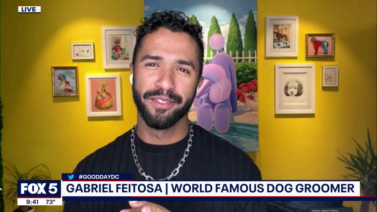 Gabriel Feitosa talks creative dog grooming and more