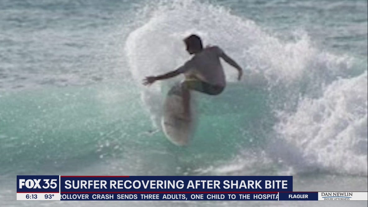 Florida surfer speaks about being bitten by shark