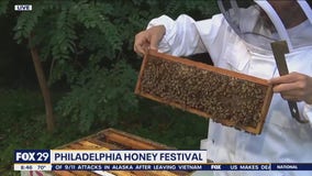 Honey Festival buzzing into Philadelphia this weekend