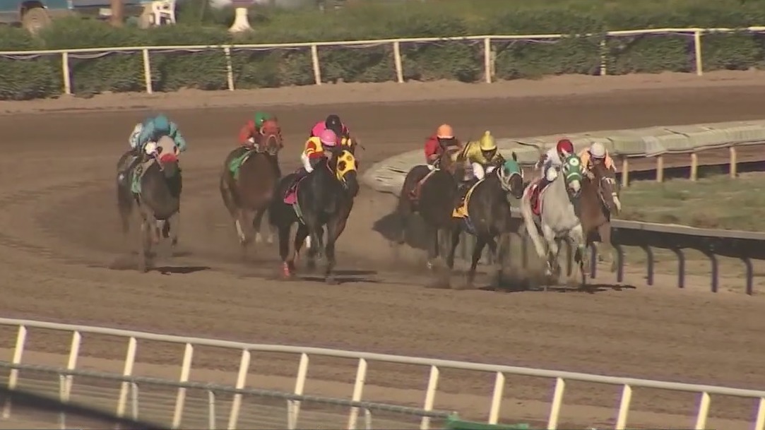 Animal welfare advocates raise concerns over high Turf Paradise horse death rates