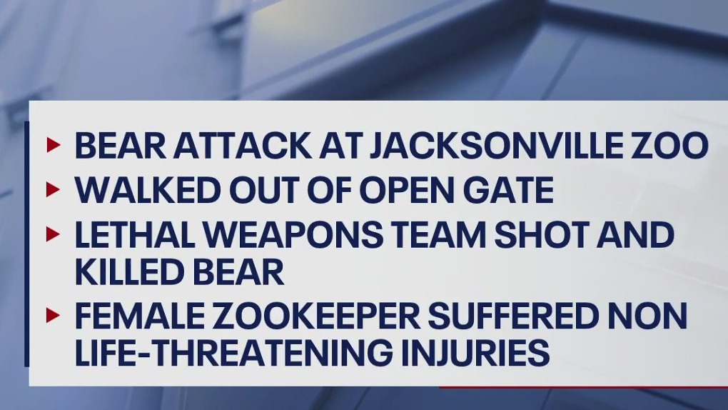 Bear fatally shot after escaping, attacking keeper at Jacksonville Zoo