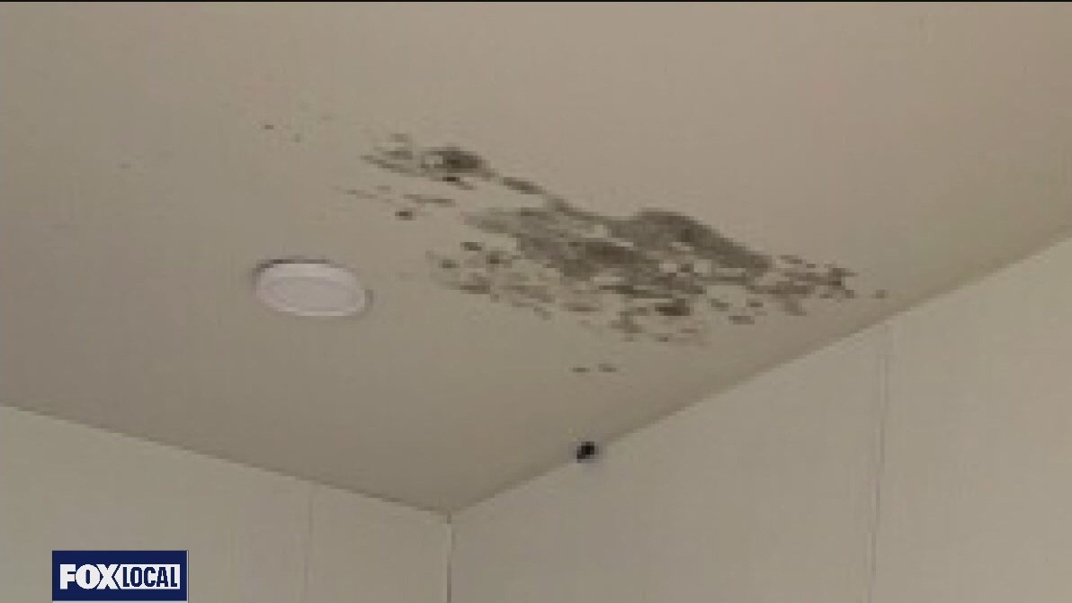 Mold, wage theft complaints plague SJ affordable housing construction site