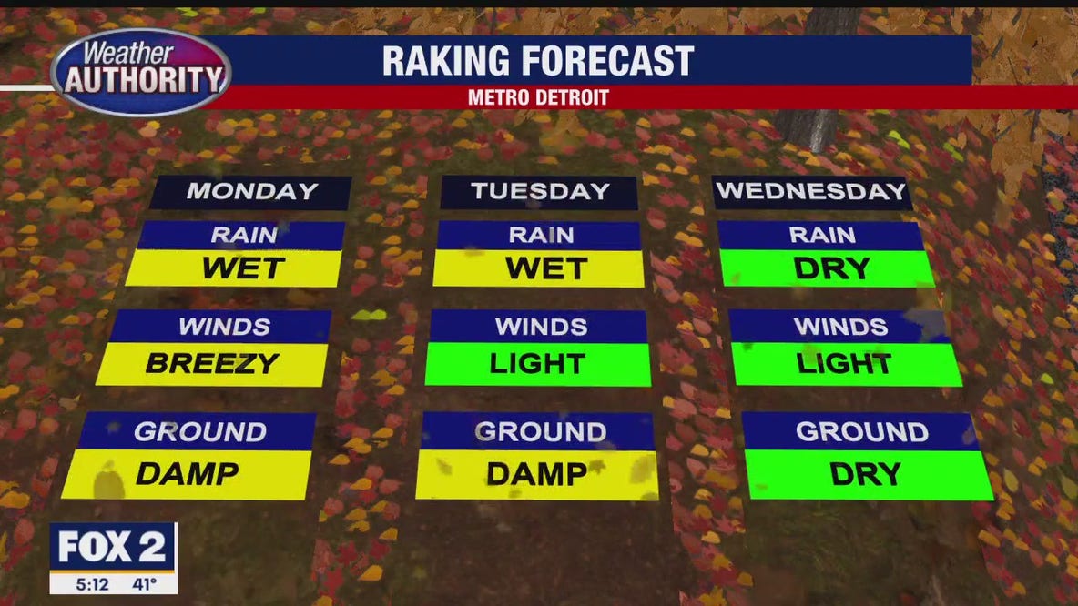 Damp Monday