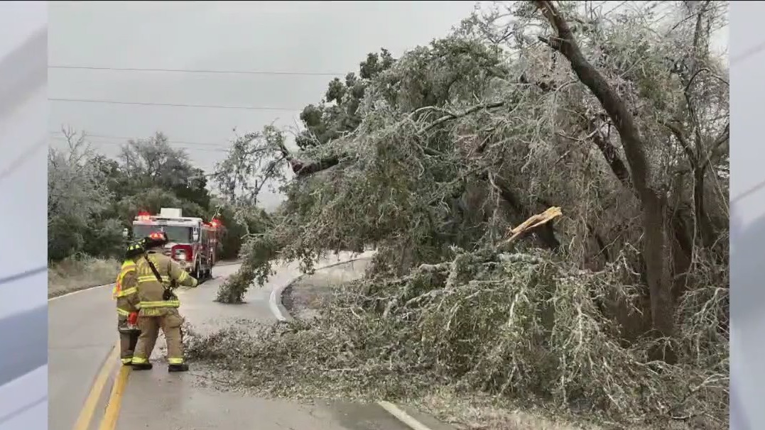 Lots of downed trees found in Cedar Park
