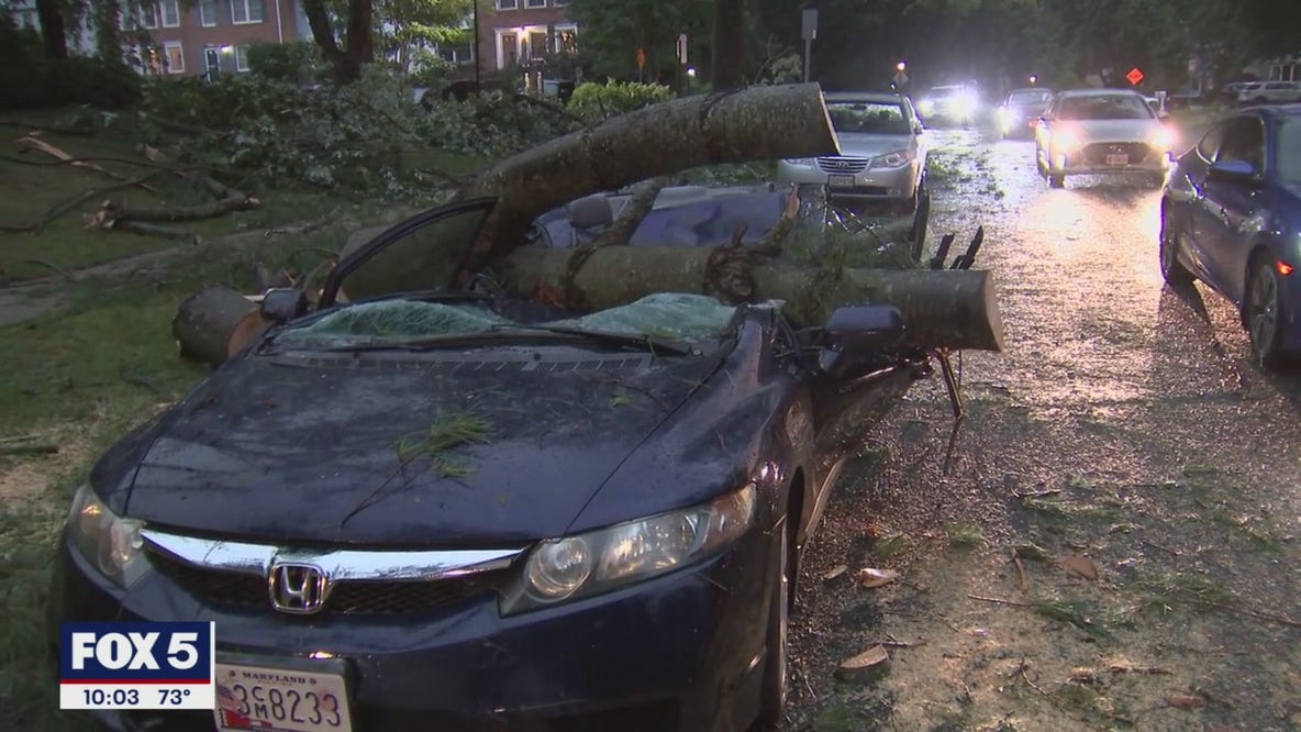 Storm knocks down trees, damages cars