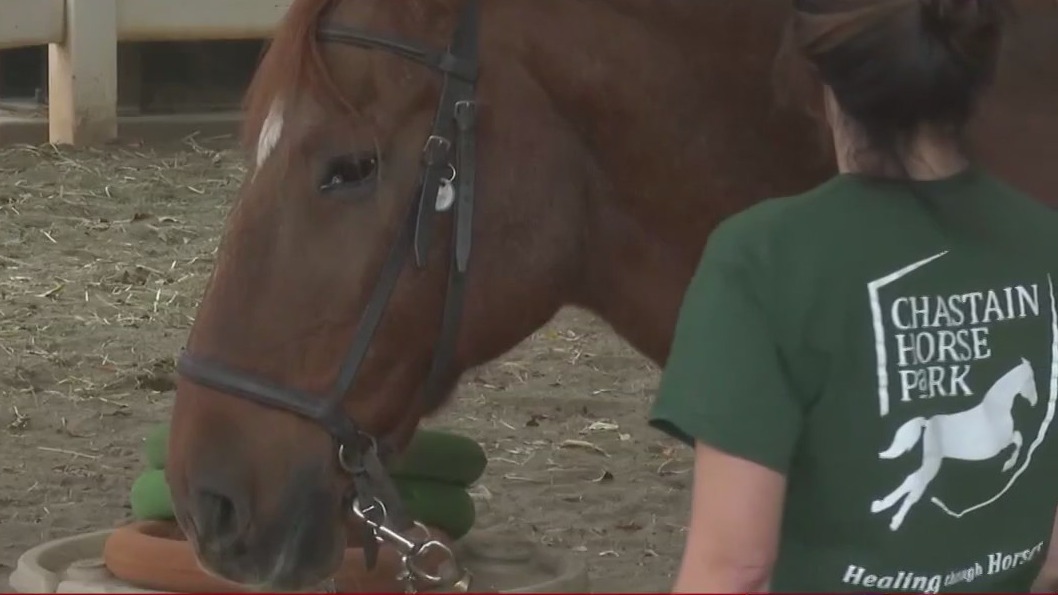 Chastain Horse Park plans big expansion FOX 5 Atlanta