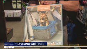 Tips for summer travel safety with Premier Pet Supply