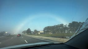 Fog bow spotted in Florida: Here is what it is