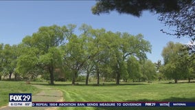 Construction on FDR Park continues despite opposing lawsuit