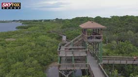 Drone Zone: Boca Ciega Park