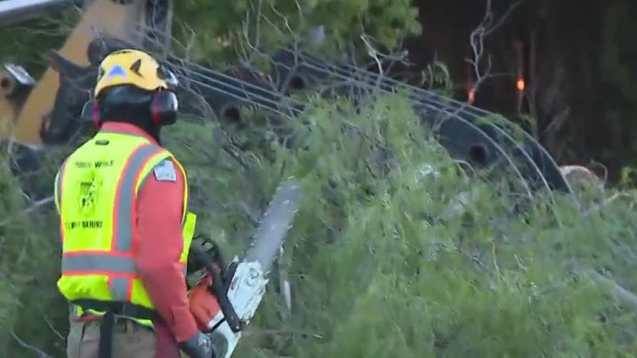Windy weather downs trees in SoCal