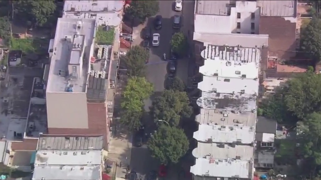 Brooklyn hammer attack kills mom, injures 2 kids
