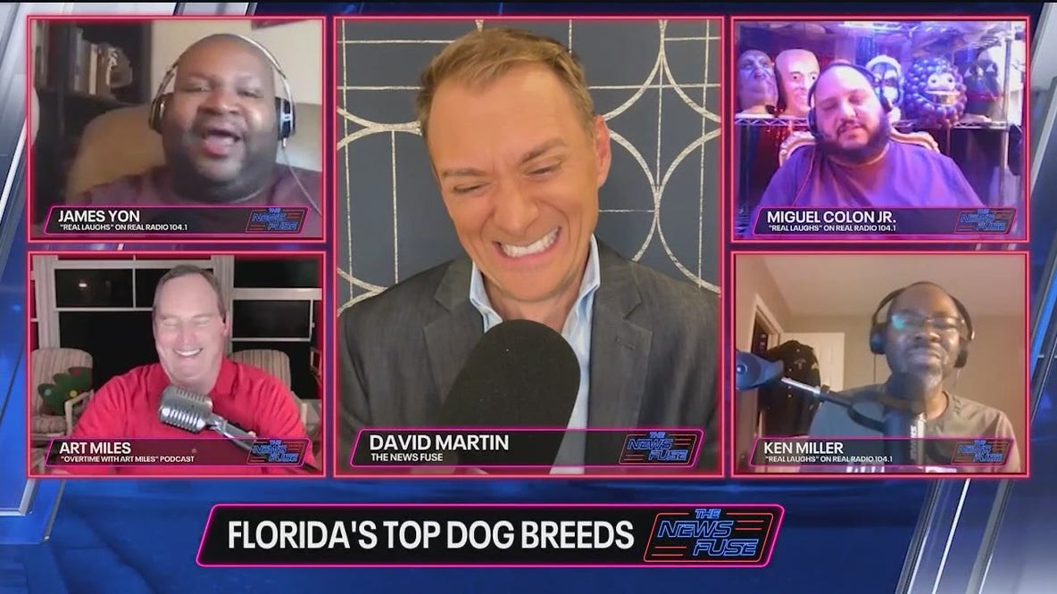 The News Fuse: Florida's top 5 dog breeds