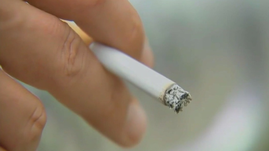 City Council may expand park smoking ban