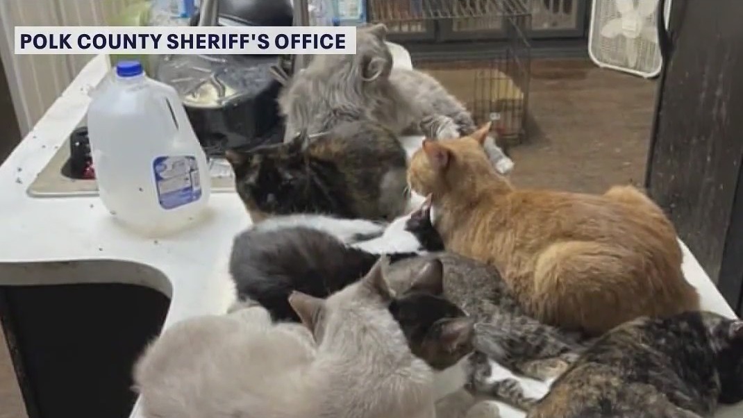 309 animals seized from Florida home: Sheriff