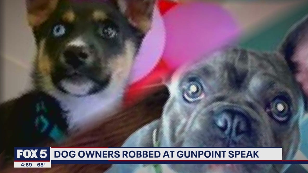 Dog owners robbed at gunpoint speak