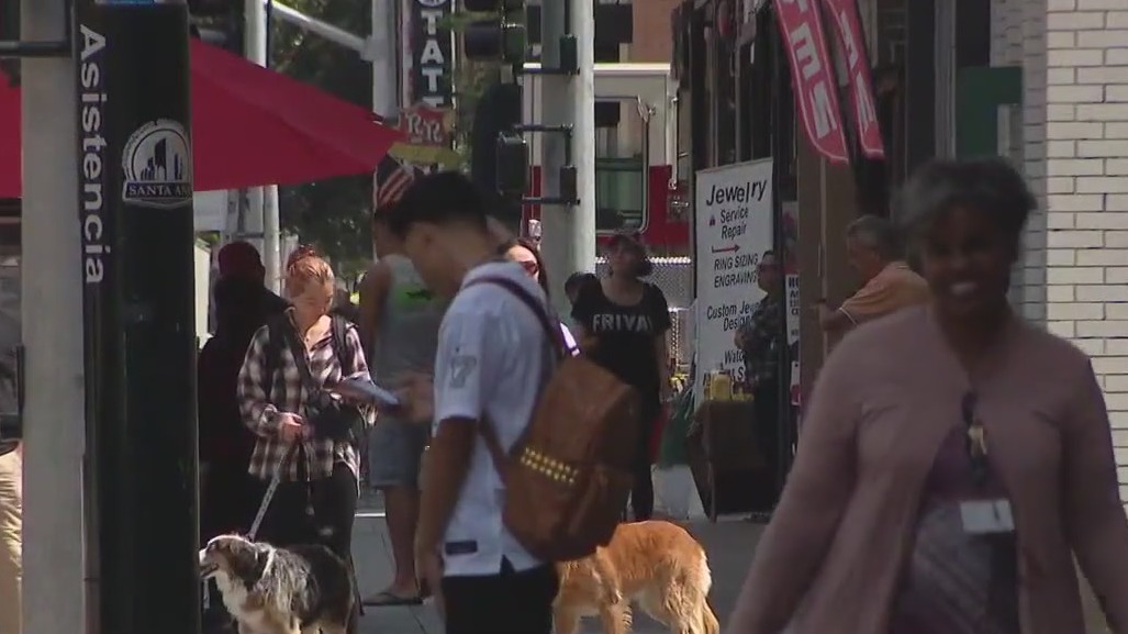 Undocumented residents voting in Santa Ana?