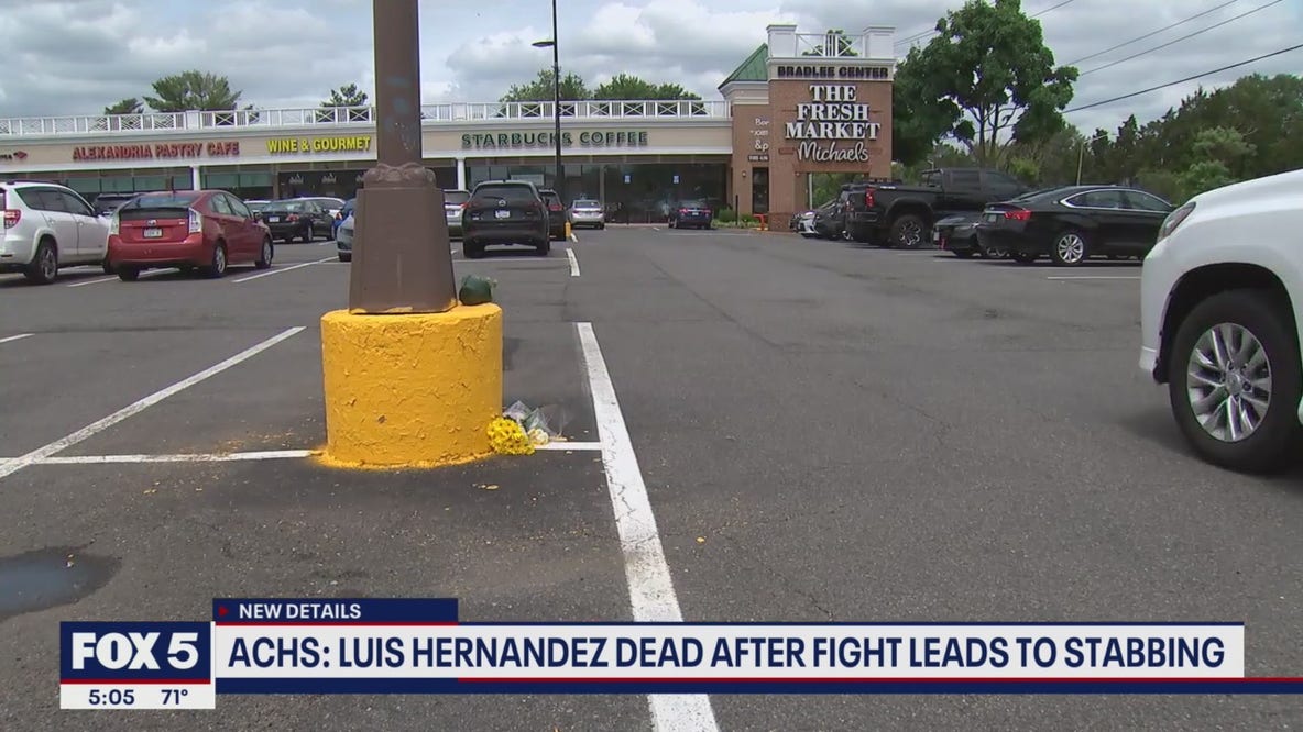 18-year-old stabbed to death after fight in Alexandria