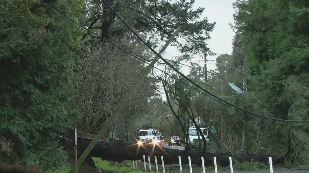 North Bay rain and wind topple trees into power lines, homes and a fire engine