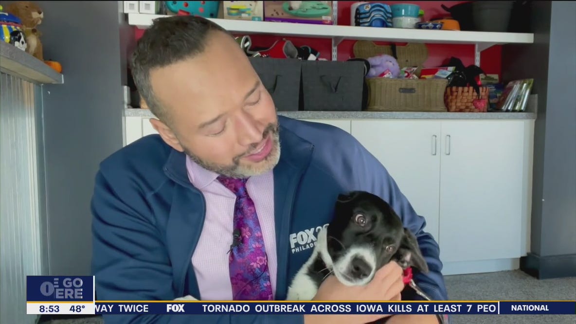 FurEver Home: March 6, 2022