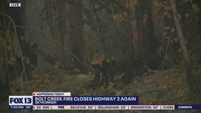 US 2 closure on Wednesday to remove trees burned above highway in Bolt Creek Fire