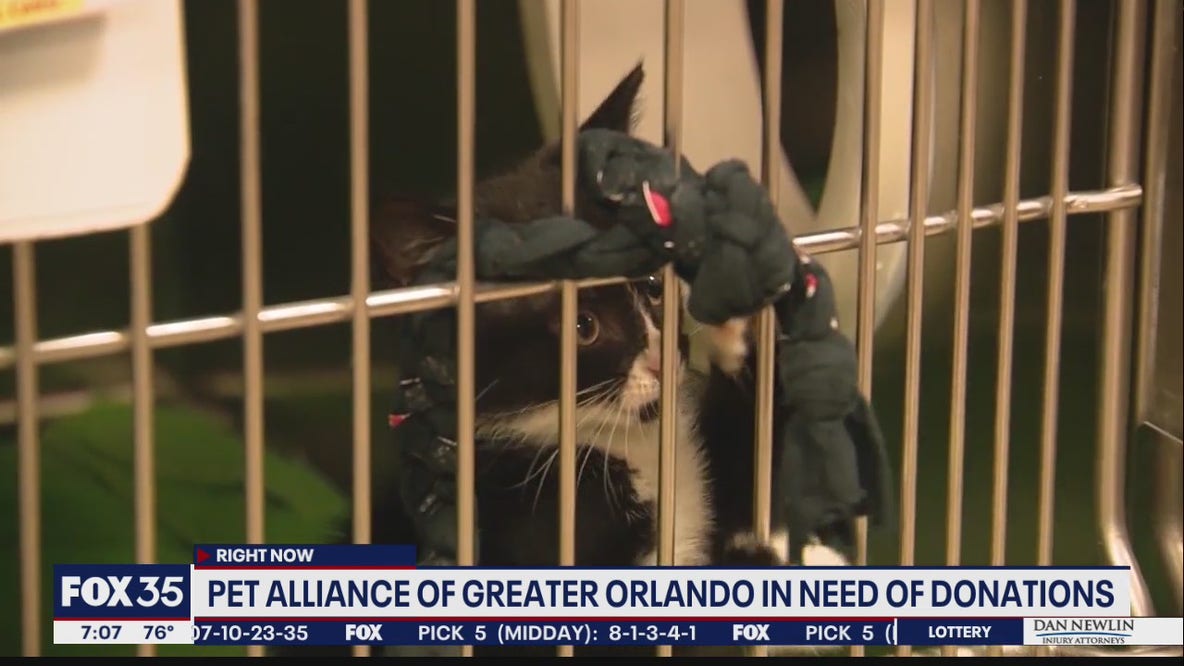 Pet Alliance of Greater Orlando in need of donations after fire