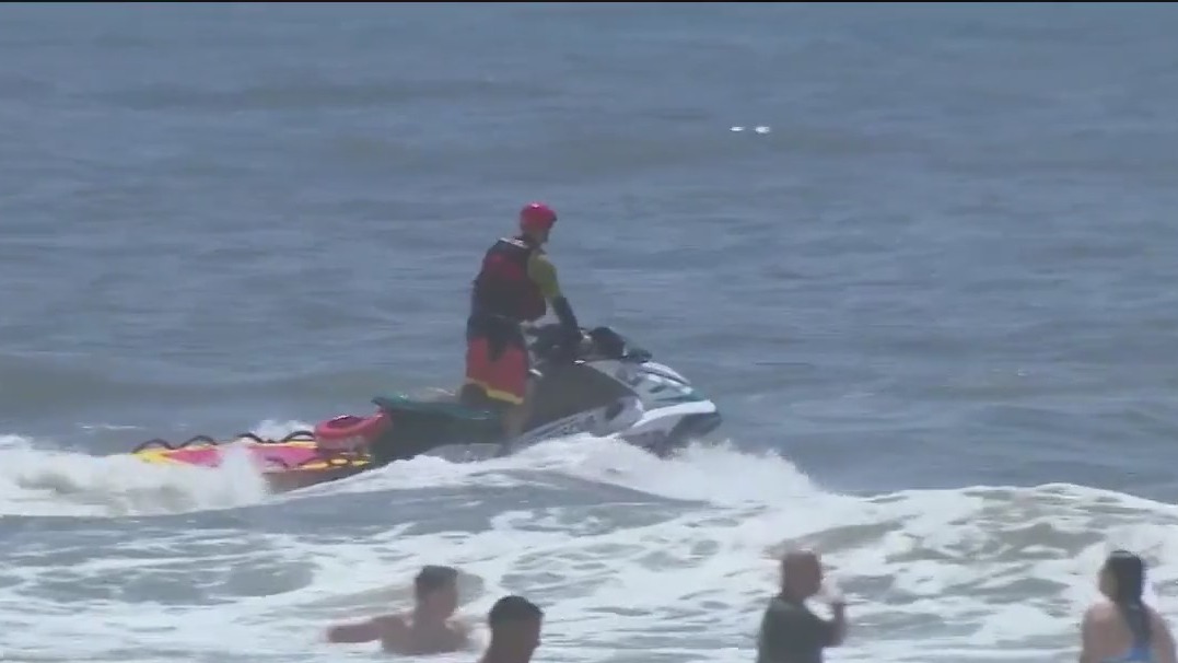 4 suspected shark attacks on Long Island