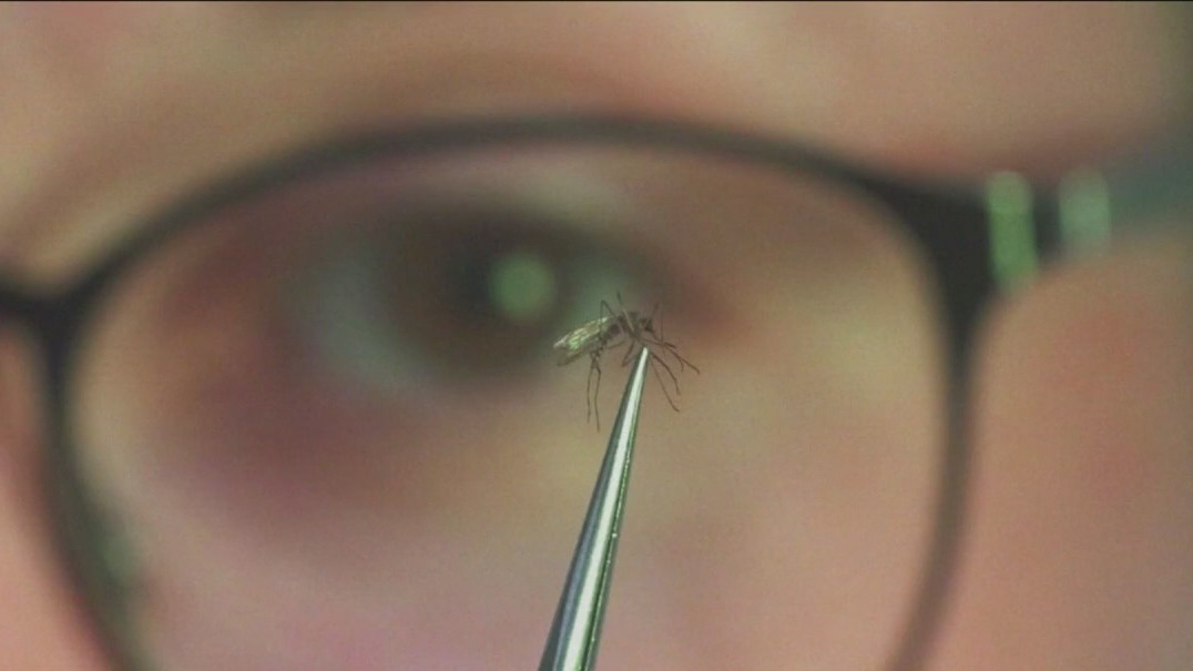 Parts of US hit hard by West Nile virus