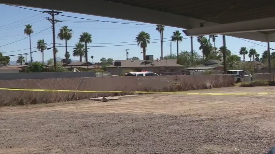 Dismembered body found in Phoenix identified