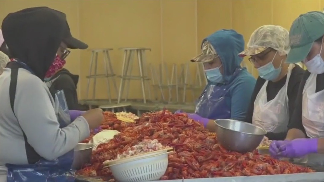 Louisiana Gov claims disaster on crawfish shortage