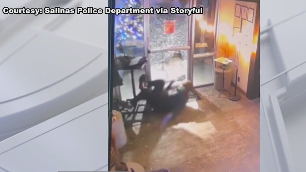 So-called 'Ninja rolling thief' caught on camera