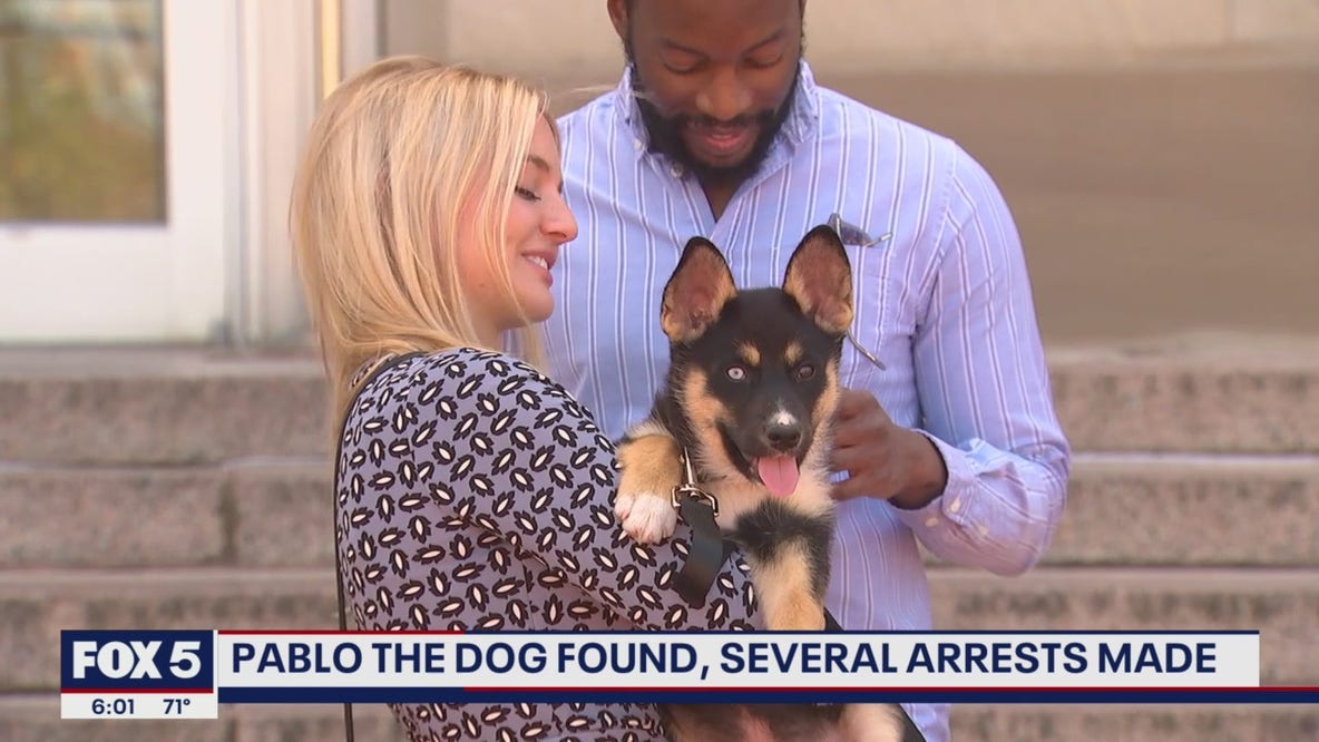 People arrested and released amid investigation into DC dognappings
