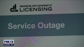 State licensing, renewal website down causing delays for business owners