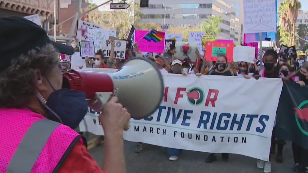 Women's March held in downtown LA, nationwide
