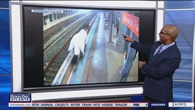 Escaped racehorse runs wild in train station