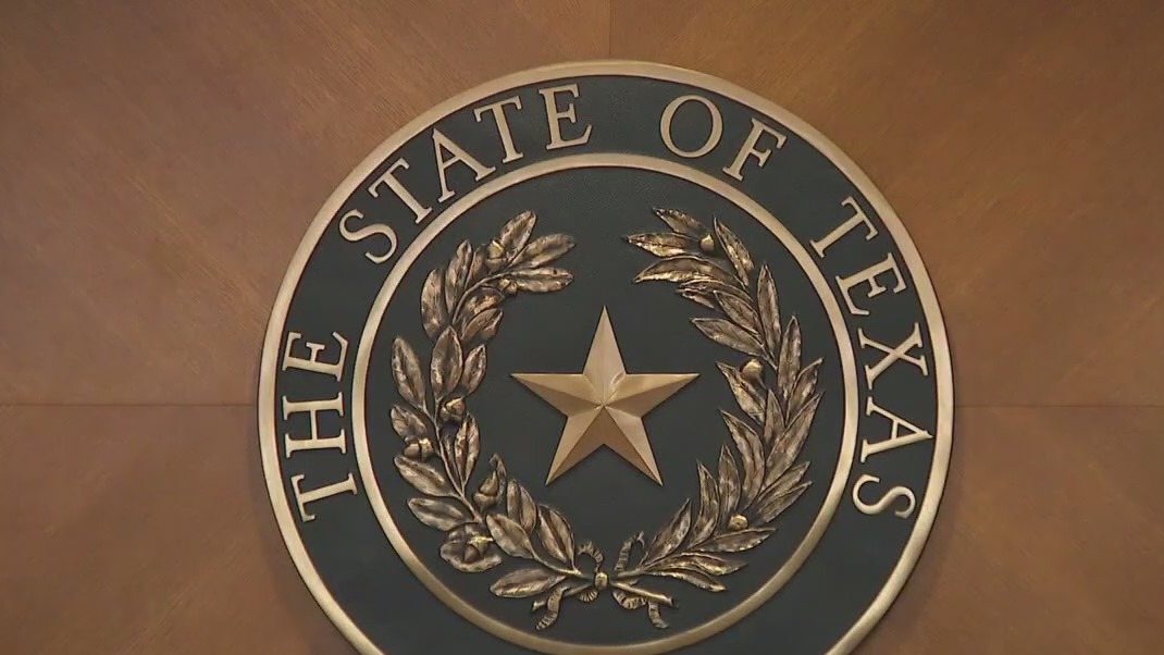 Texas Committee hearing on DEI, protests