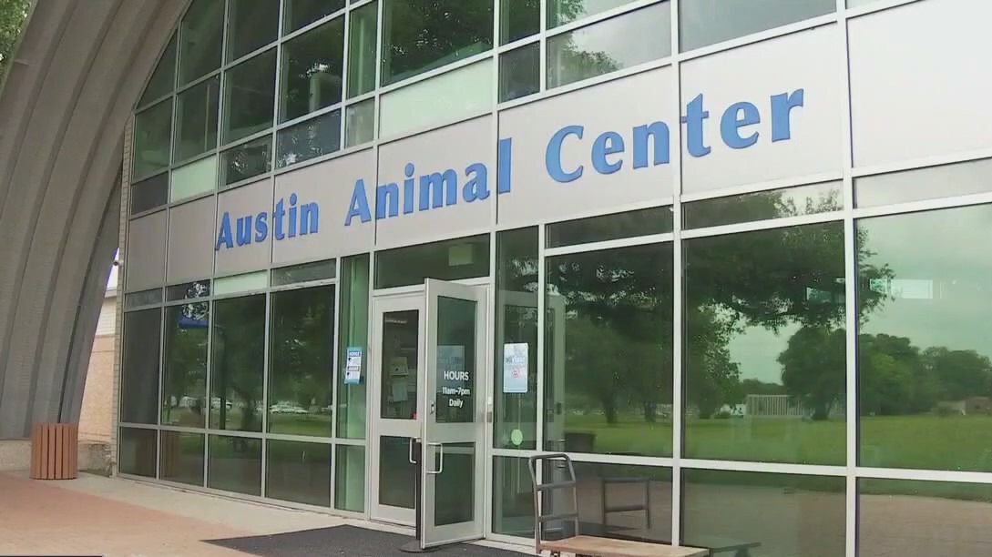 Austin shelter creates urgent placement list