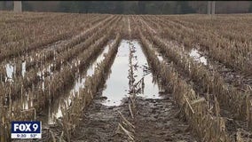 MN farmers face planting delays from wet spring